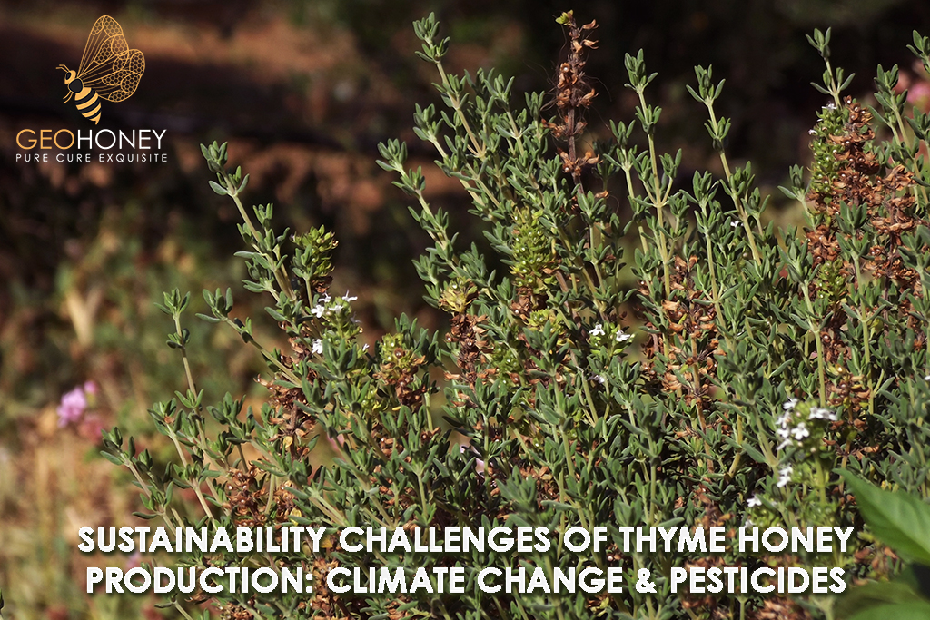 Thyme honey is a popular variety. However, sustainability challenges such as climate change and pesticide use impact thyme plant populations and bee health during raw thyme honey production.